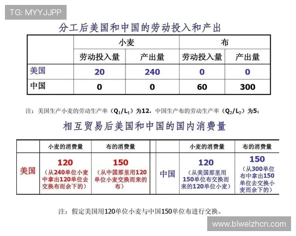 必威体育中国与其他平台比较优势分析助你做出明智选择