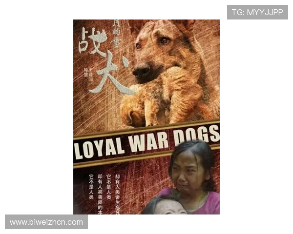 乐动体育直播的优势与特色，助你轻松追踪全球各大体育赛事动态